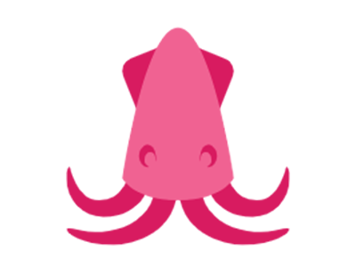 Squid代理上网配置